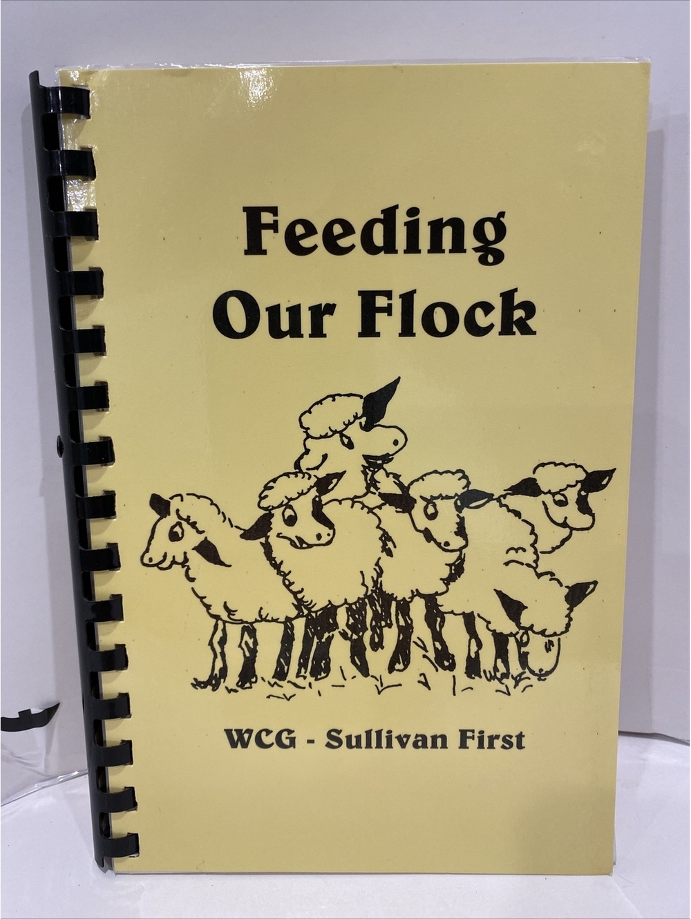 Feeding Our Flock Women Of Church Of God Illinois Cookbook Recipes 84 Pages